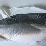 Yellowtail Hamachi fillet JP