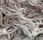 Frozen Squid Tentacles (150-170) 22lb